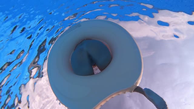Cherry’s Playful Pool Time